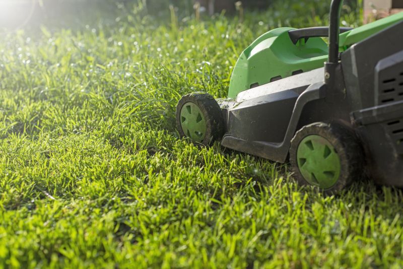 Senior Yard Mowing Services