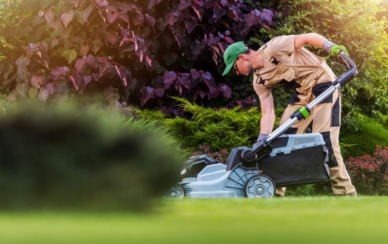 Senior Yard Mowing Promotions