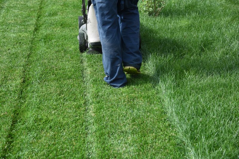 Service Locations for Senior Yard Mowing