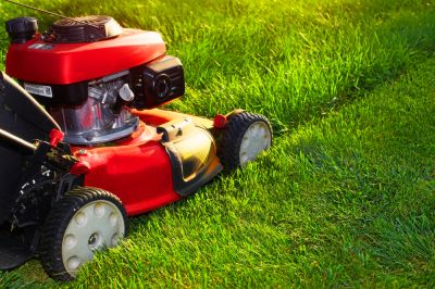 Save Time and Effort with Senior Lawn Mowing!