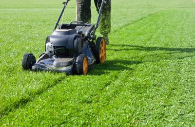 Maintain Curb Appeal with Senior Yard Mowing!
